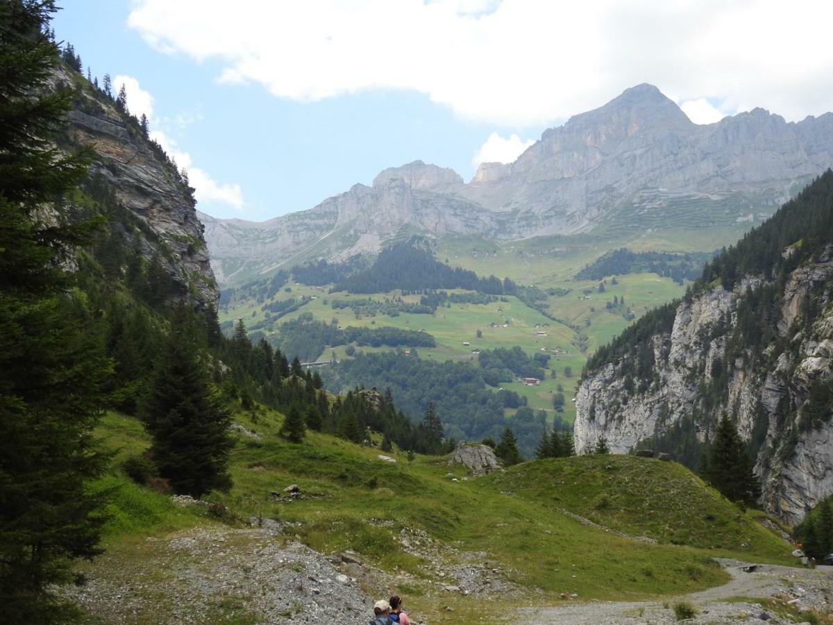 Hotel Alpina Unterschächen Exteriér fotografie